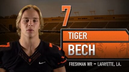 Tiger Bech