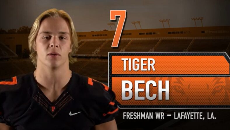 Tiger Bech