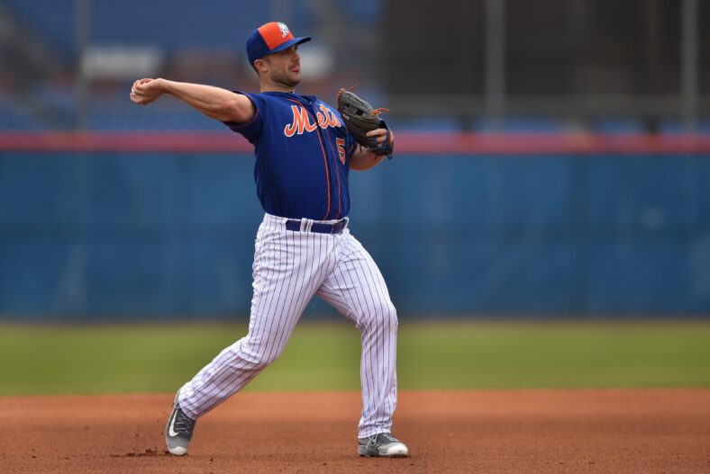 Syndication: Treasure Coast / mlb spring training new york mets